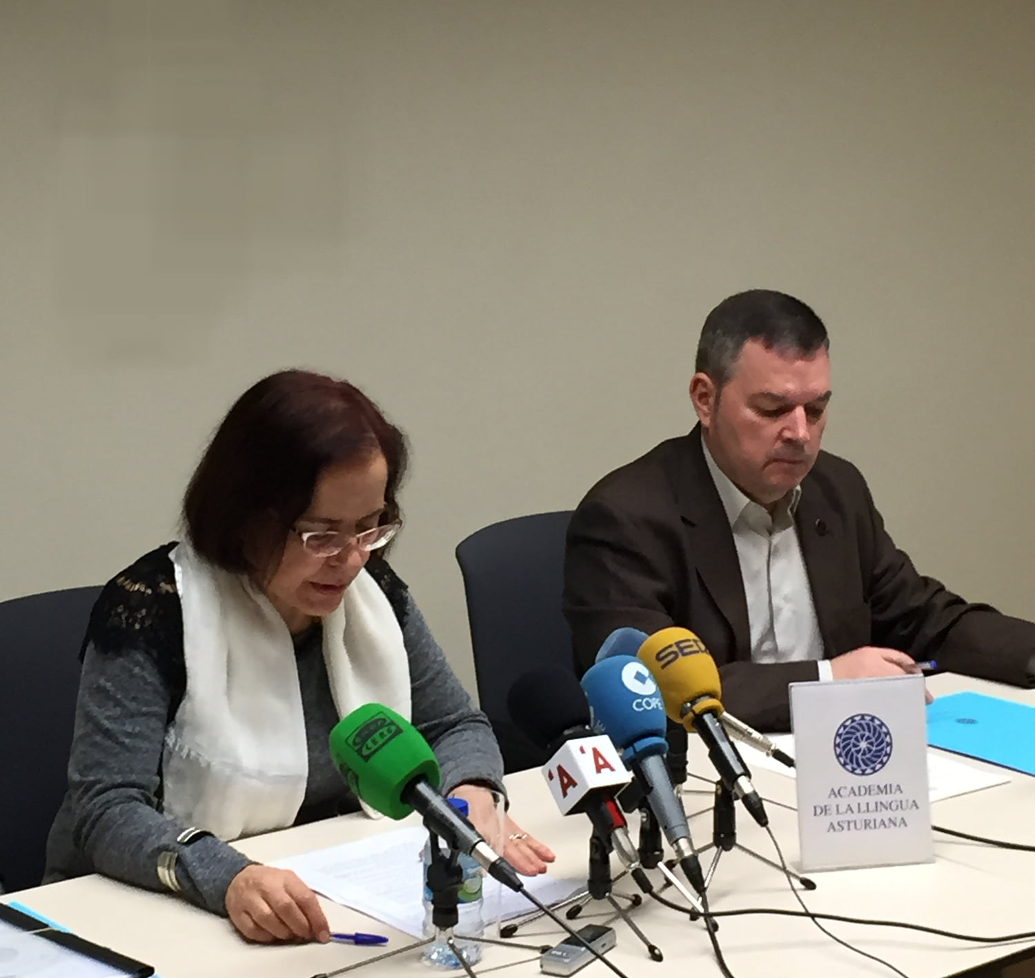 Enseñanza del asturianu: especialidá docente, currículu escolar y oficialidá